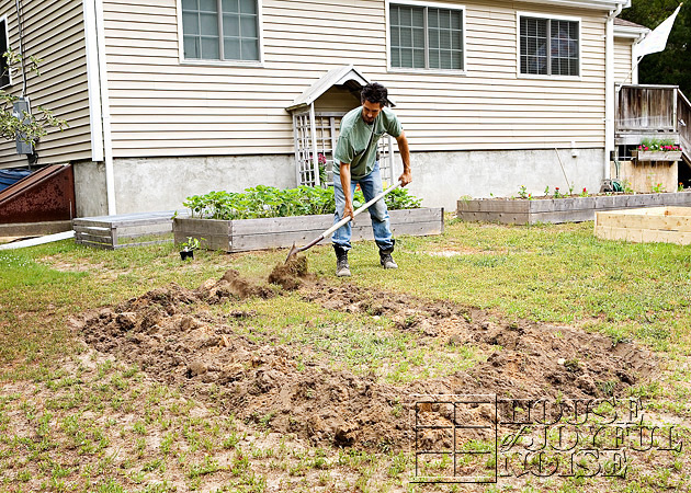 making-growing-pumpkin-patch-progress-results