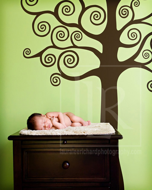 laura-lee-richard-photography-plymouth-ma-newborns