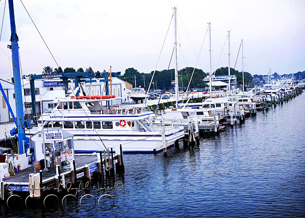 marthas-vineyard-ferry-island-queen-5