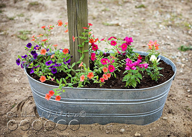 creative-mailbox-planter-ideas-2