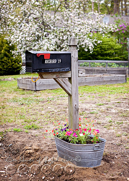 creative-mailbox-planter-ideas-5