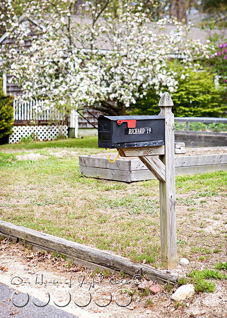 creative-mailbox-planter-ideas