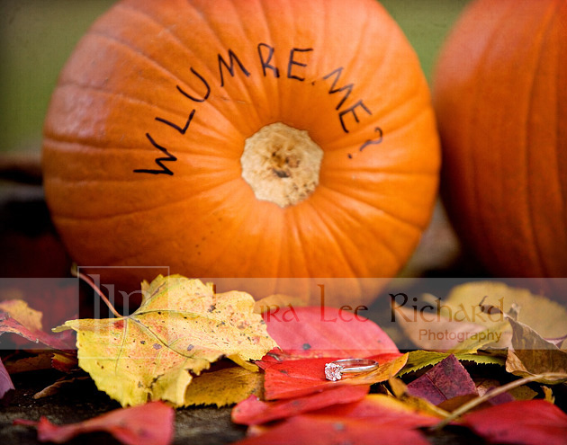 engagement-photos-laura-lee-richard-photography-plymouth-ma-1