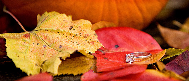 engagement-photos-laura-lee-richard-photography-plymouth-ma_00