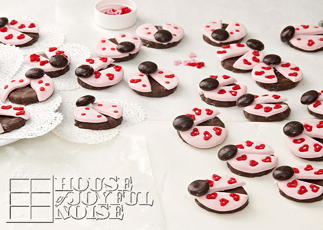 valentine-ladybug-cookies-17