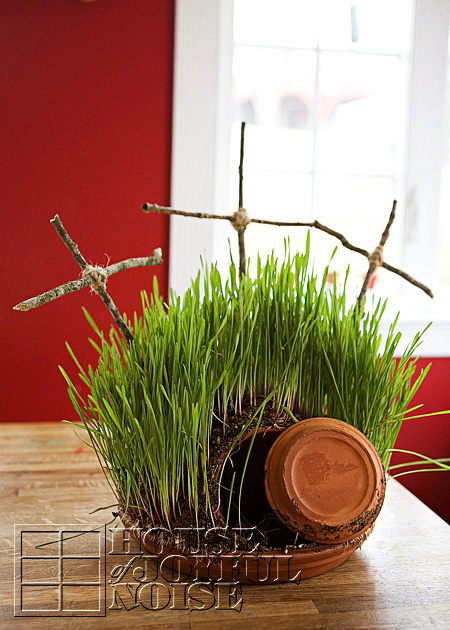 How to Plant Lenten Grass (Easter Grass)