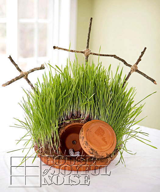 How to Plant Lenten Grass (Easter Grass)