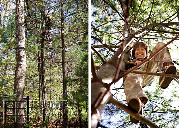 03_tree_climbing