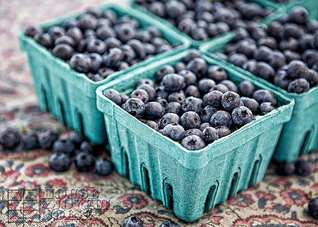 005_quarts-blueberries