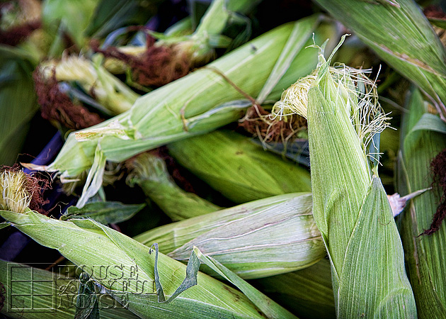 008_unhusked-corn-cobs