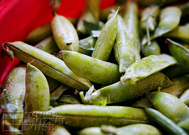 014_edamame