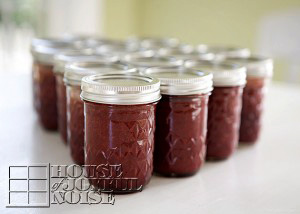 first-time-canning-strawberry-jam-1