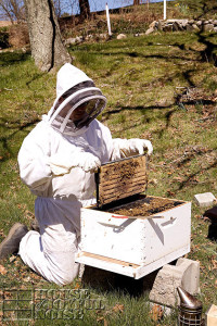 beekeeping