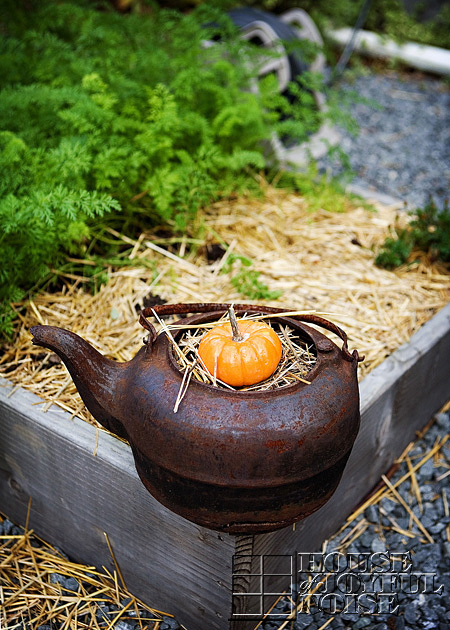 gourd and hay in rusty black kettle